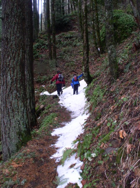 12.23.05 Elowah Falls 019 